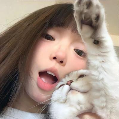 与森林共舞